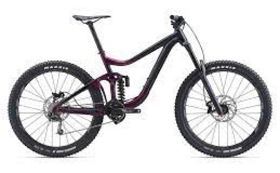 DH Loisir : Giant Reign SX  